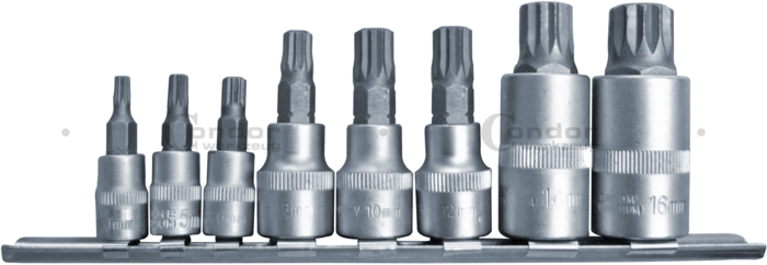 Set of Multi Point=Spline -SOCKETS 1/4"  M4,5,6 3/8" M8,10,12 1/2" M14,16  8 pcs  - CONDOR [ PRA 1109 ]