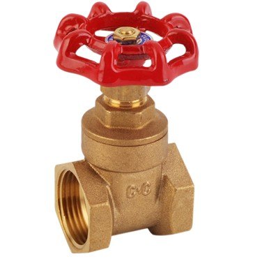 1"" Brass Gate Valve (China)  -  [ XCN GATE VALV 1 B ]