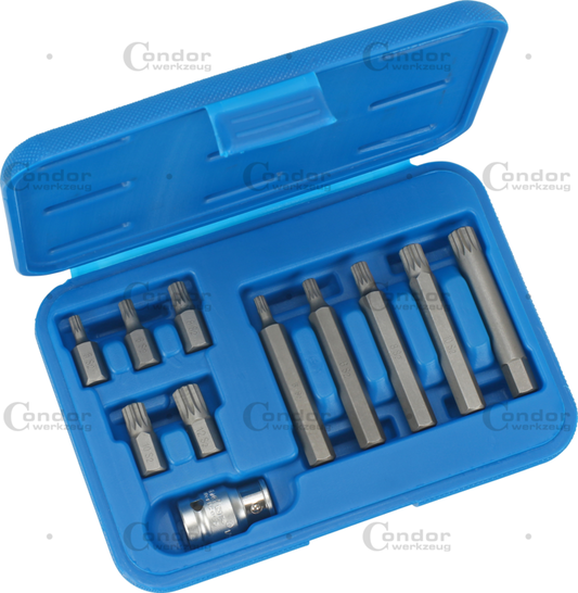 Set of Screwdriver Bits SPLINE 11 pcs, 5 long, 5 short M5, M6, M8, M10, M12 with 1/2" Adapter  - CONDOR [ PRA 210/1 ]