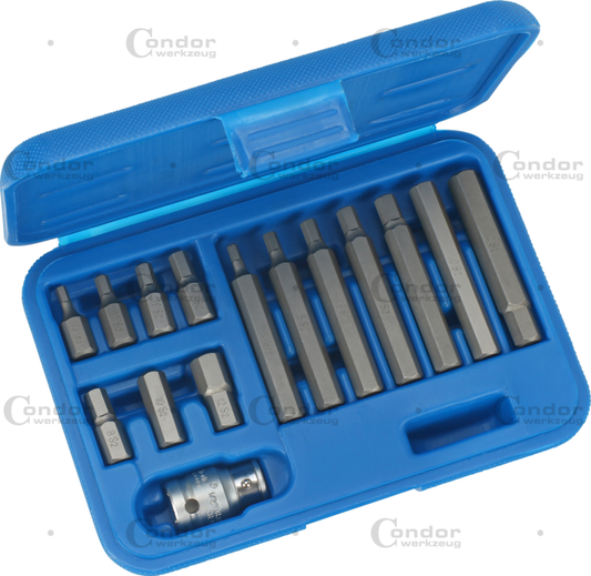 Set of Screwdriver Bits ALLAN Type 15 pcs, 7 long, 7 short M4, M5, M6, M7, M8, M10, M12 with 1/2" Adapter  - CONDOR [ PRA 210/2 ]