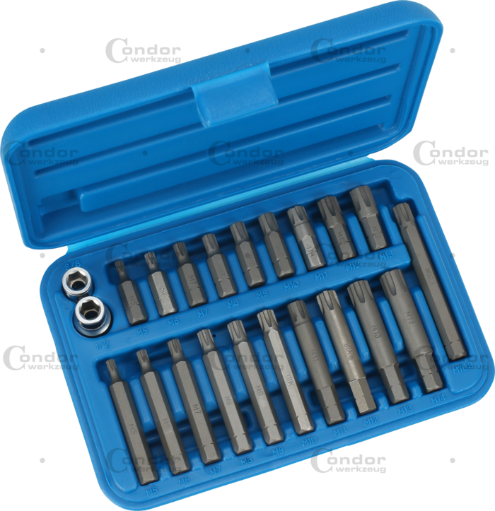 Socket Bit Set 22 Pcs 3/8" + 1/2" drive RIBE-PROFILE M5-M13  - CONDOR [ pra 210/5 ]