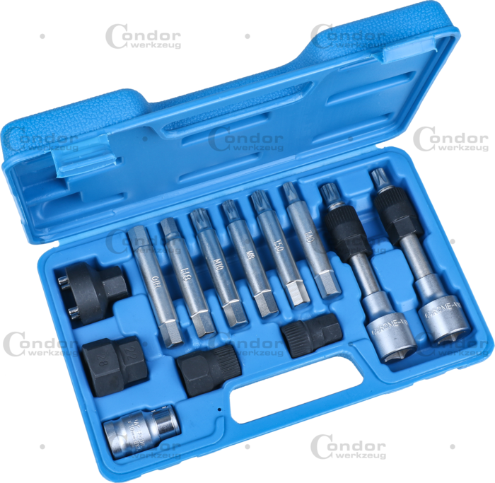 Alternator Bit Set 13 pcs  - CONDOR [ pra 4713 ]