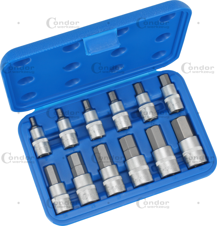 Socket Bit Set 12 pcs 1/2" drive  - CONDOR [ pra 4810 ]